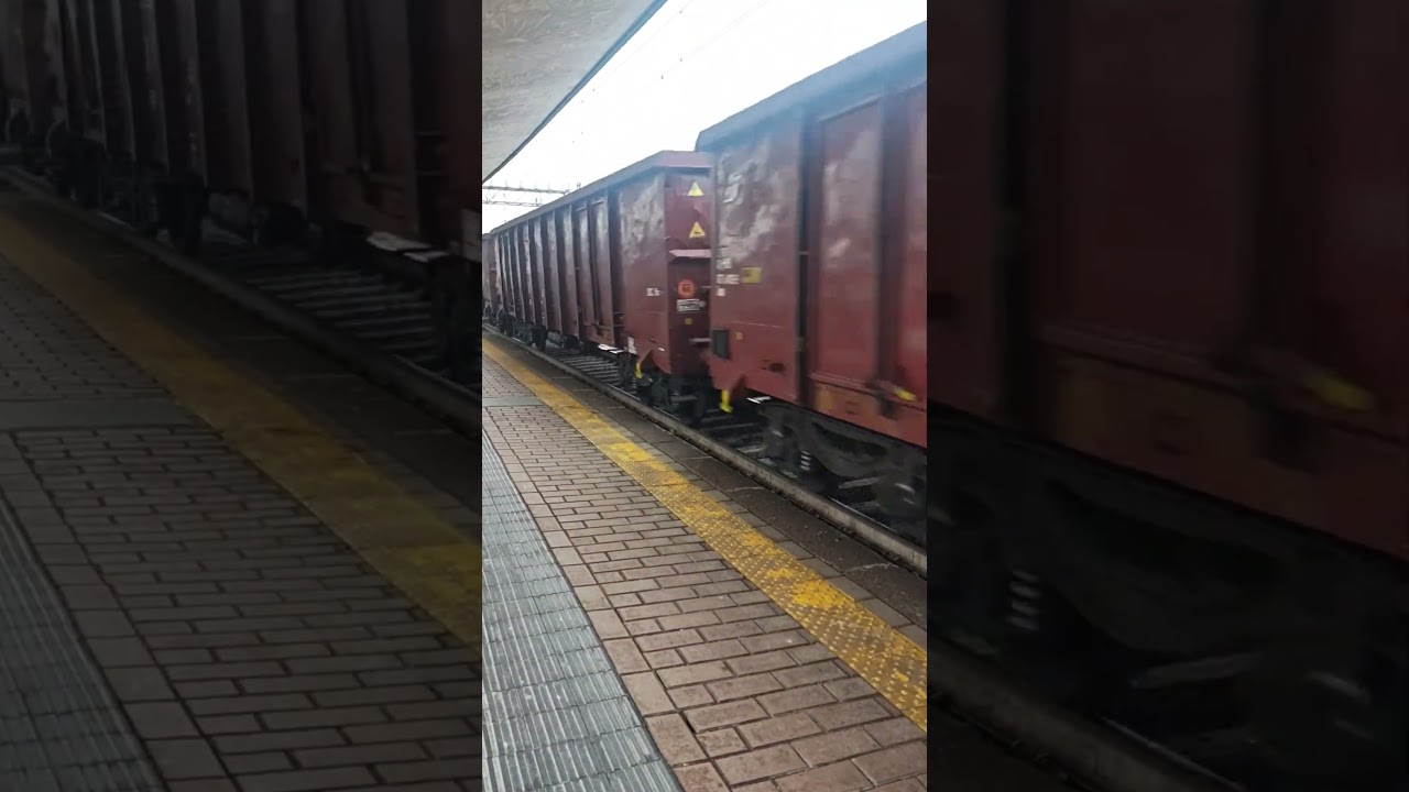 treno #trenomerci #shorts #short #shortsfeed #shortsvideo #viral #viralvideo #video #viralshorts