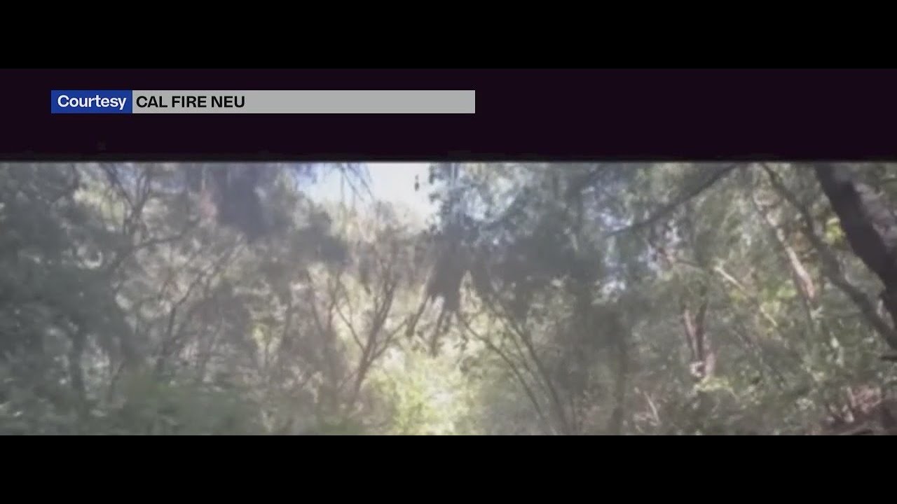 Horse dies in accident during Tevis Cup, 100-mile race through the Sierra Nevada