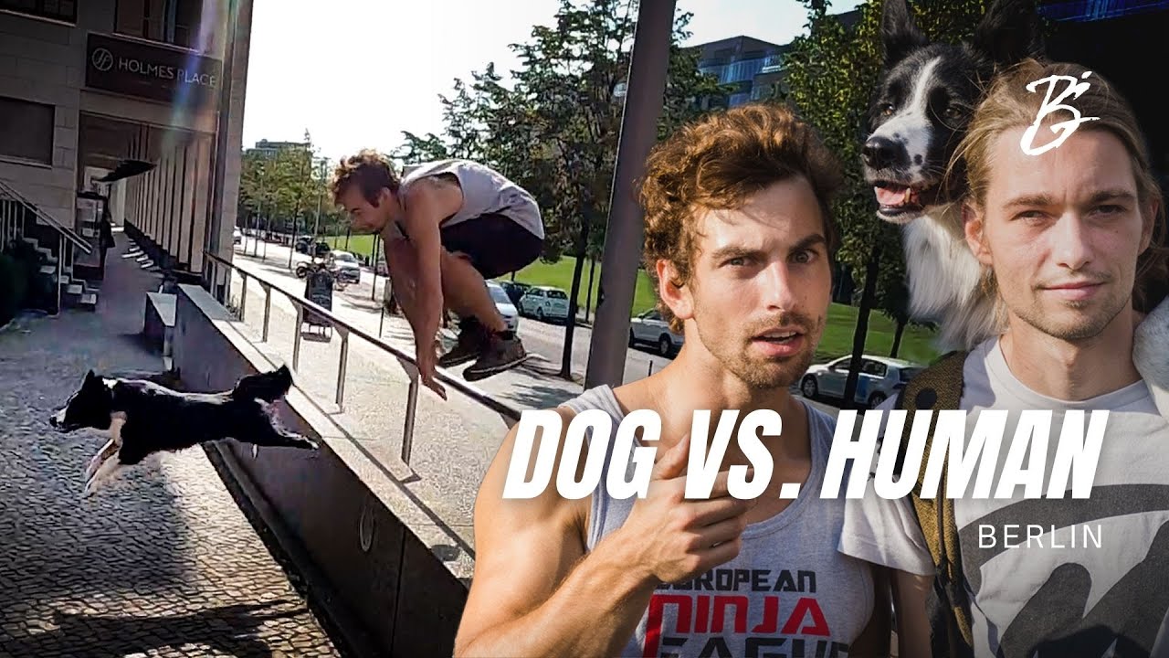 Parkour TopDog Ninja VS. Ninja Warrior - Benni Grams
