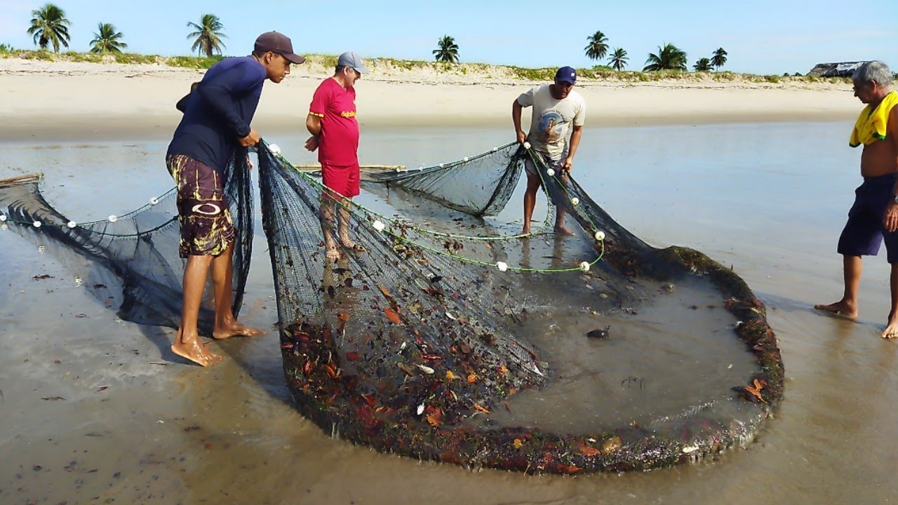 PESCARIA DE ARRASTO + DE 20KG DE CAMARÃO E PEIXE. #arrastão#pescaria#pesca#beach