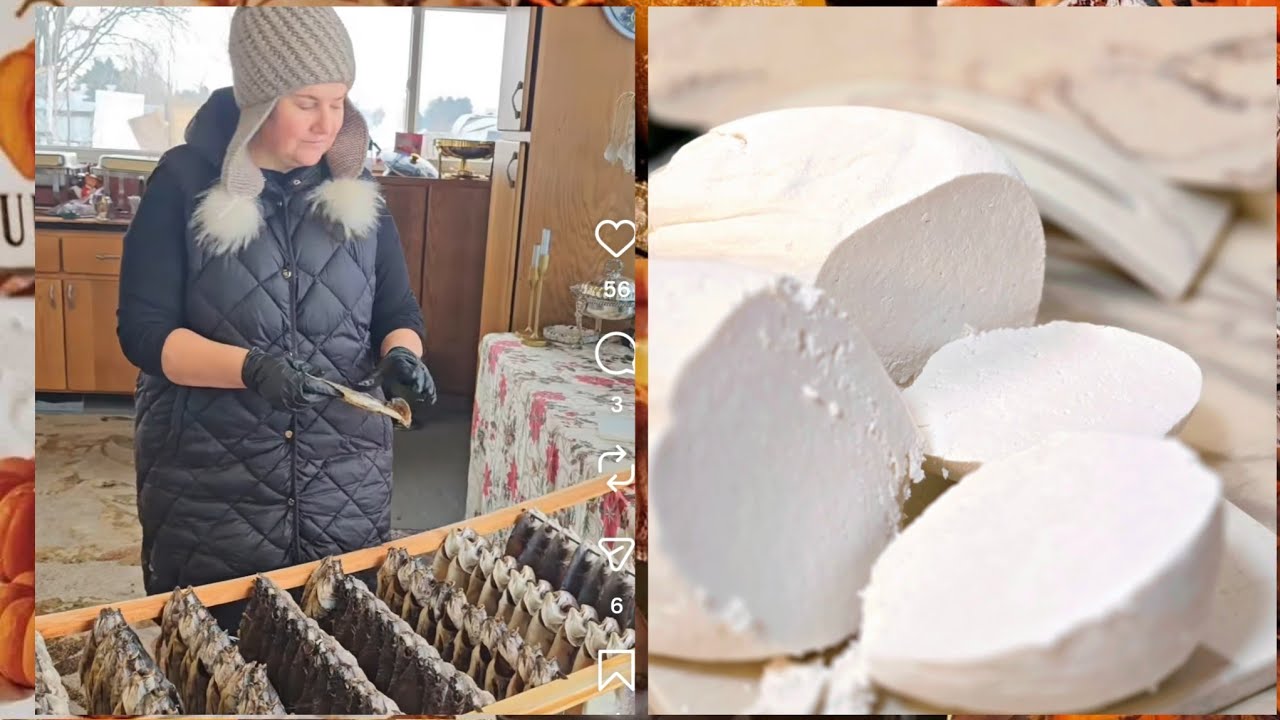 ШОПИНГ В ХОЗЯЙСТВЕНОМ МАГАЗИНЕ. ДОМАШНИЙ ТВОРОГ. 