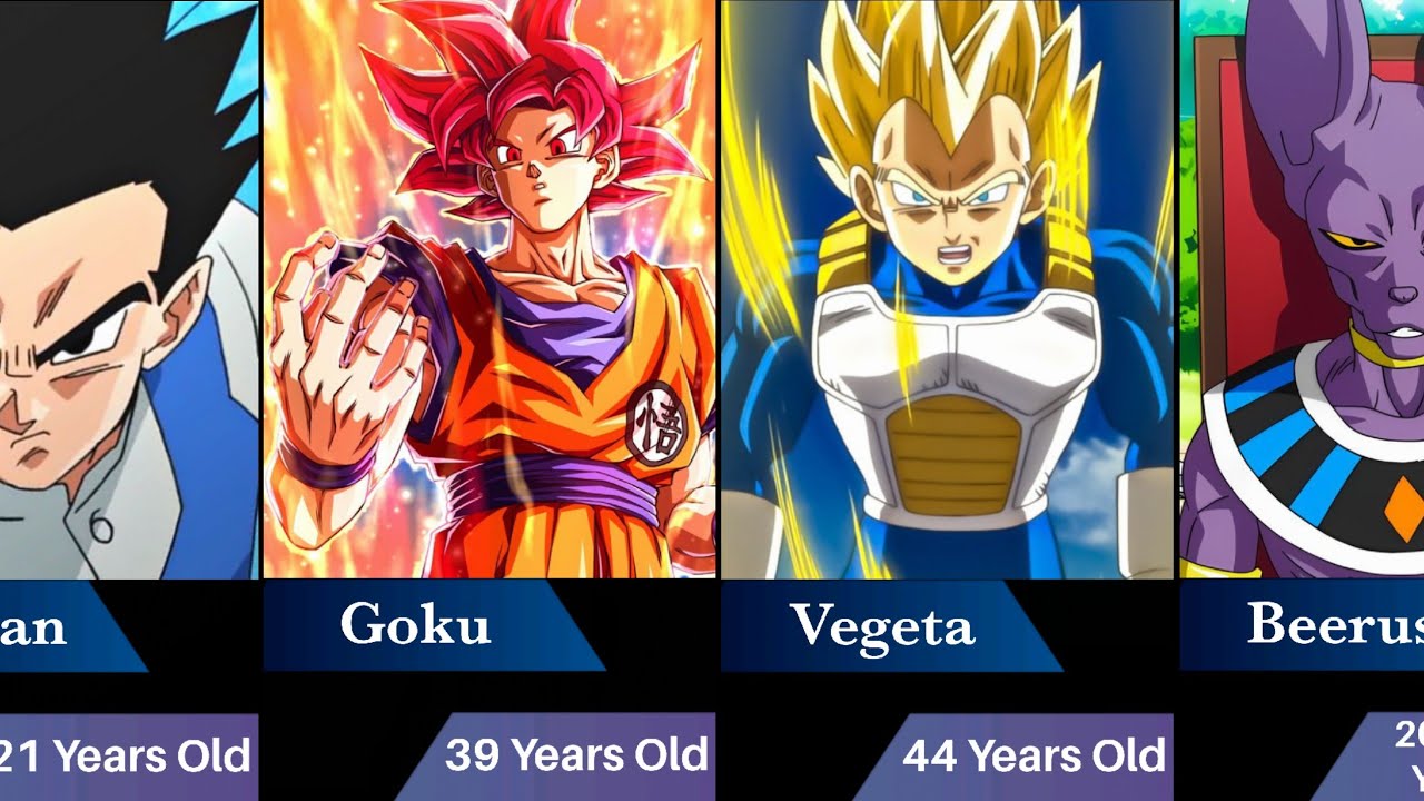 Dragon Ball Characters Age in the Beerus Saga