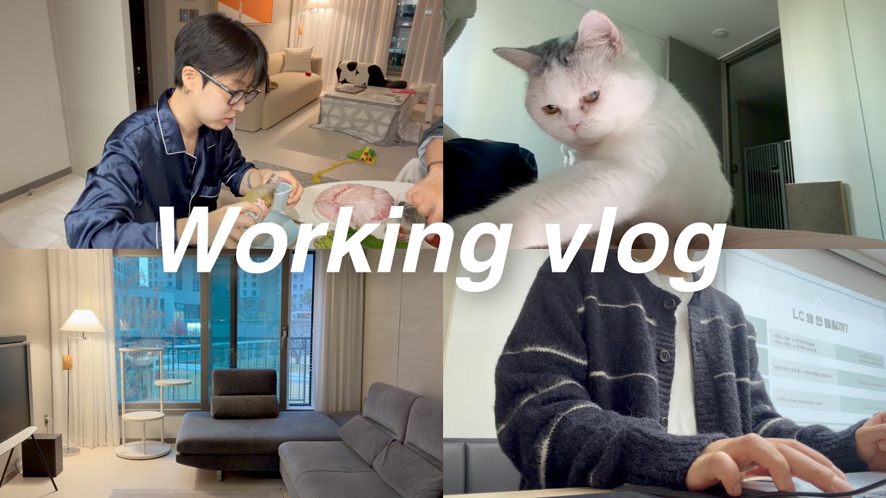 일+육아 무한 반복 집사 일상 🧑🏻‍💻🐈 I 소파 바꾸기, 25평 거실 인테리어 I 토익강사 vlog