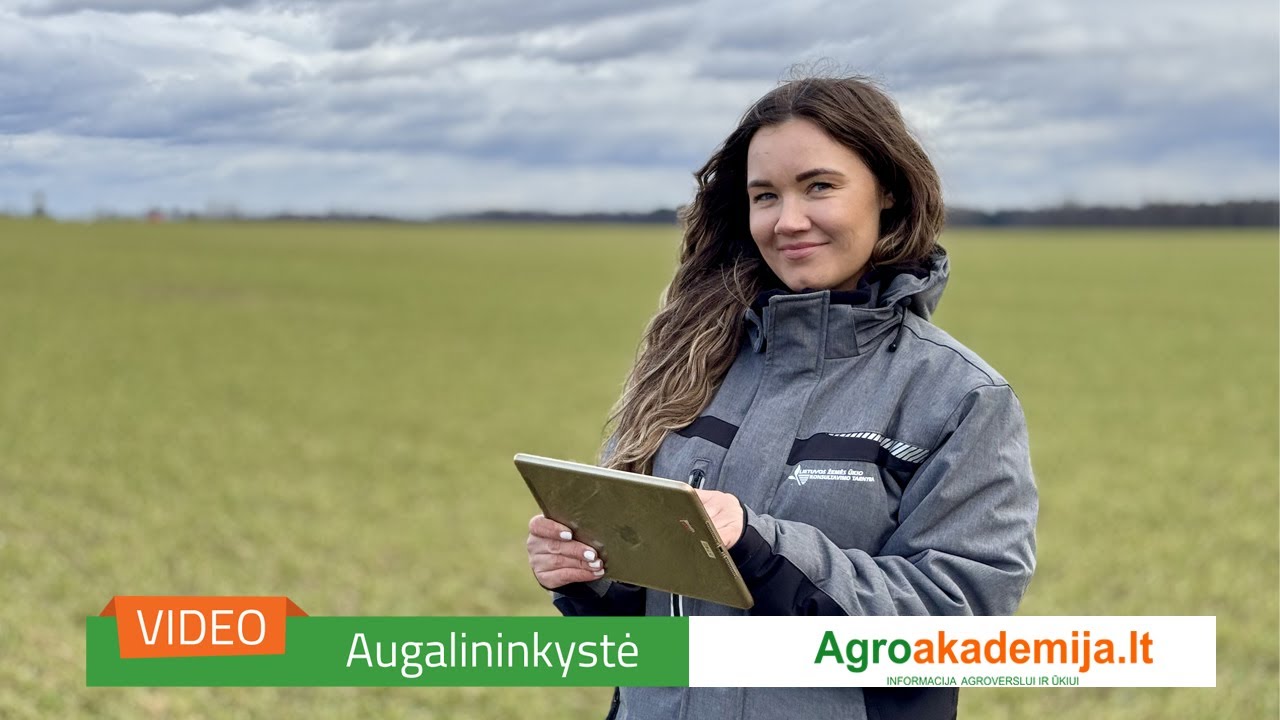 Kiek trąšų pasisavina jūsų dirvožemis? Išsitirkite