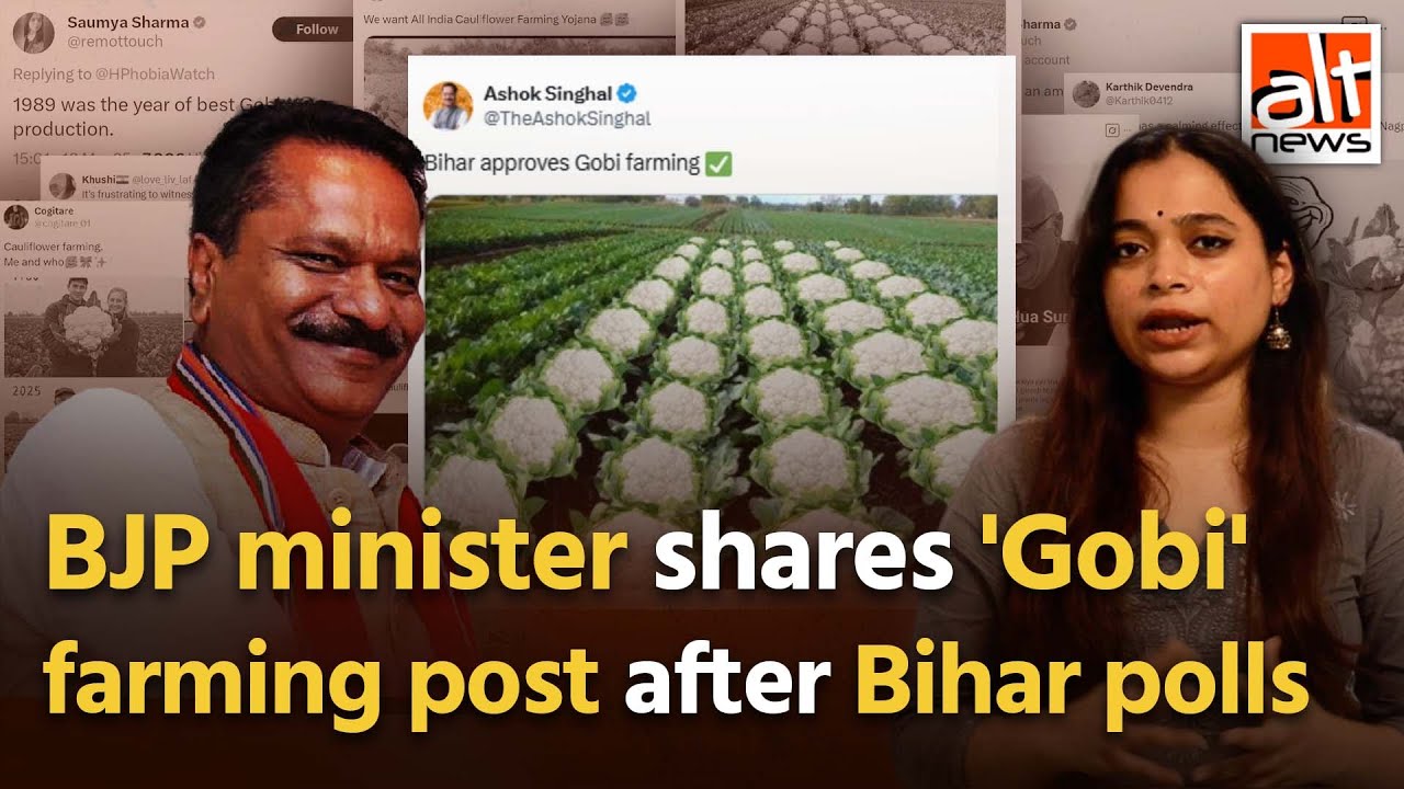 Memories of a massacre: BJP minister Ashok Singhal shares post on 'Gobi' farming after Bihar polls