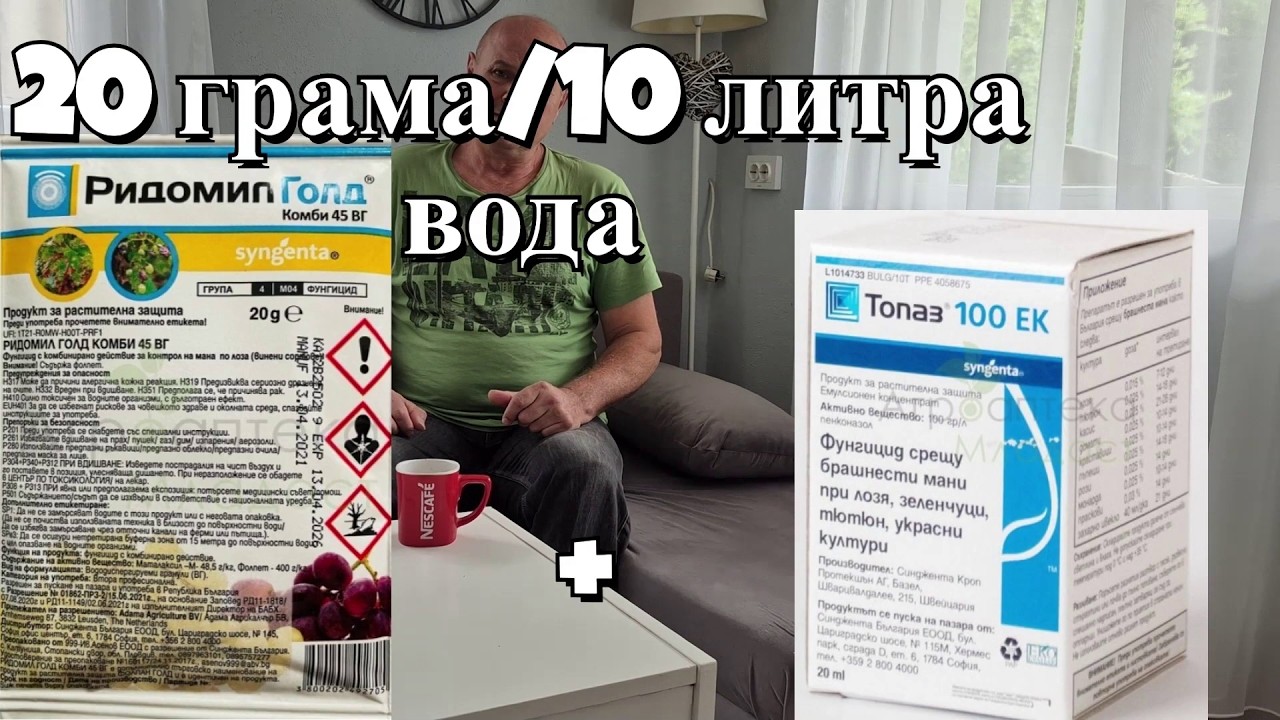 Болести и вредители по лозите от месец май до гроздобера.Ефективни препарати за агрозащита от тях.