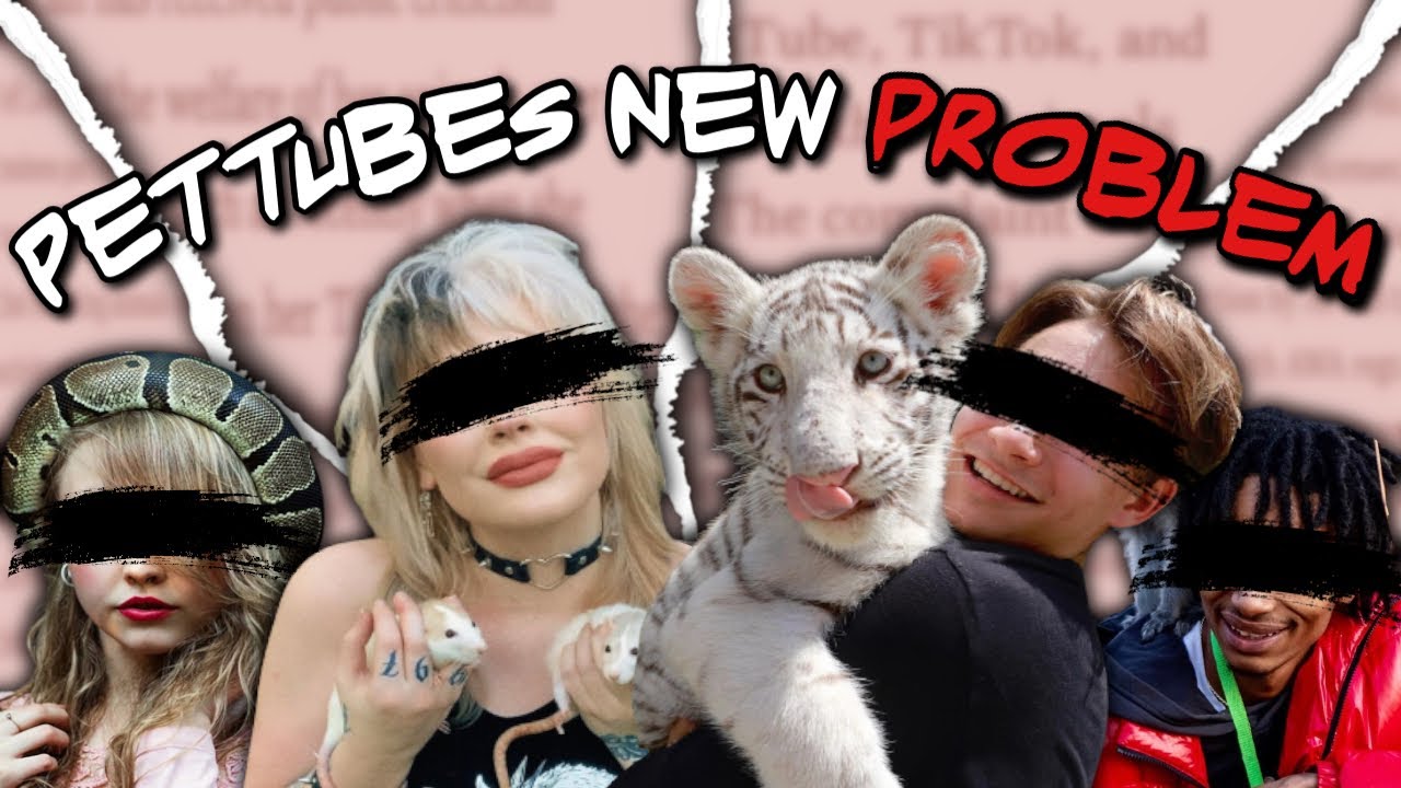 The New Problem With Pettube