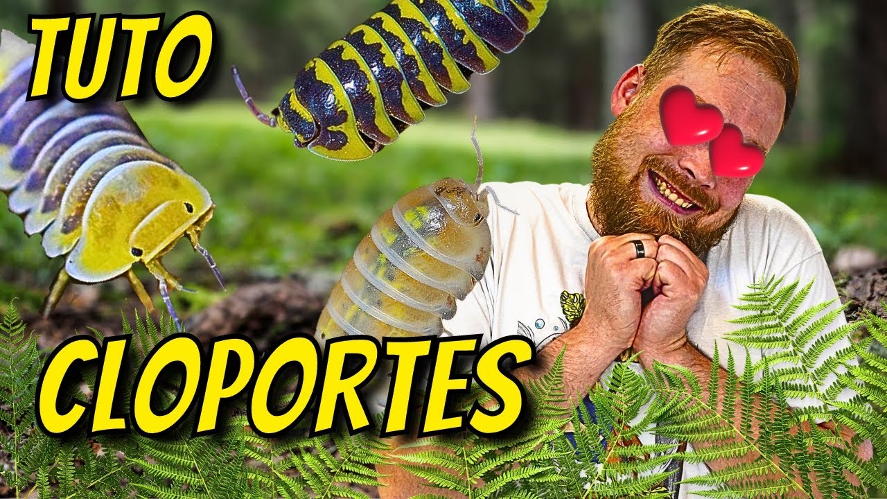Des nouveaux CLOPORTES avec une espèce de DINGUE !!! TRUCS & ASTUCES [ ANI' MOOD ]