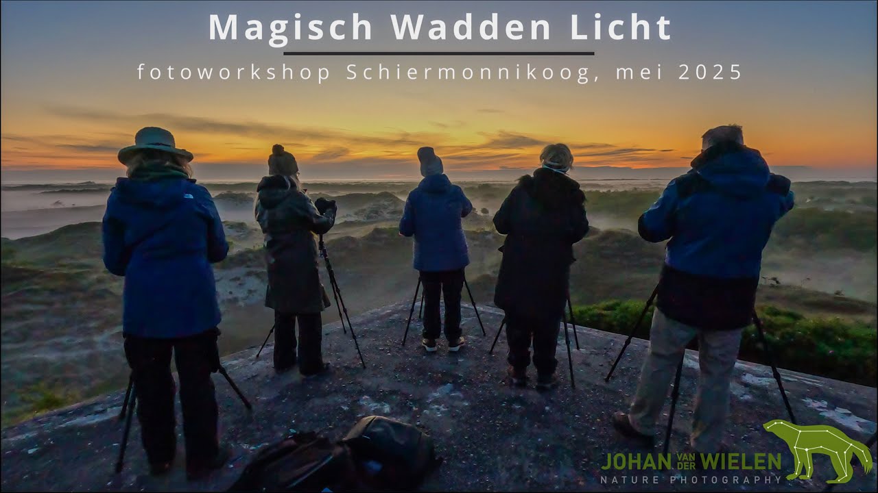 ~ Magisch Wadden Licht ~ fotoworkshop Schiermonnikoog, mei 2025