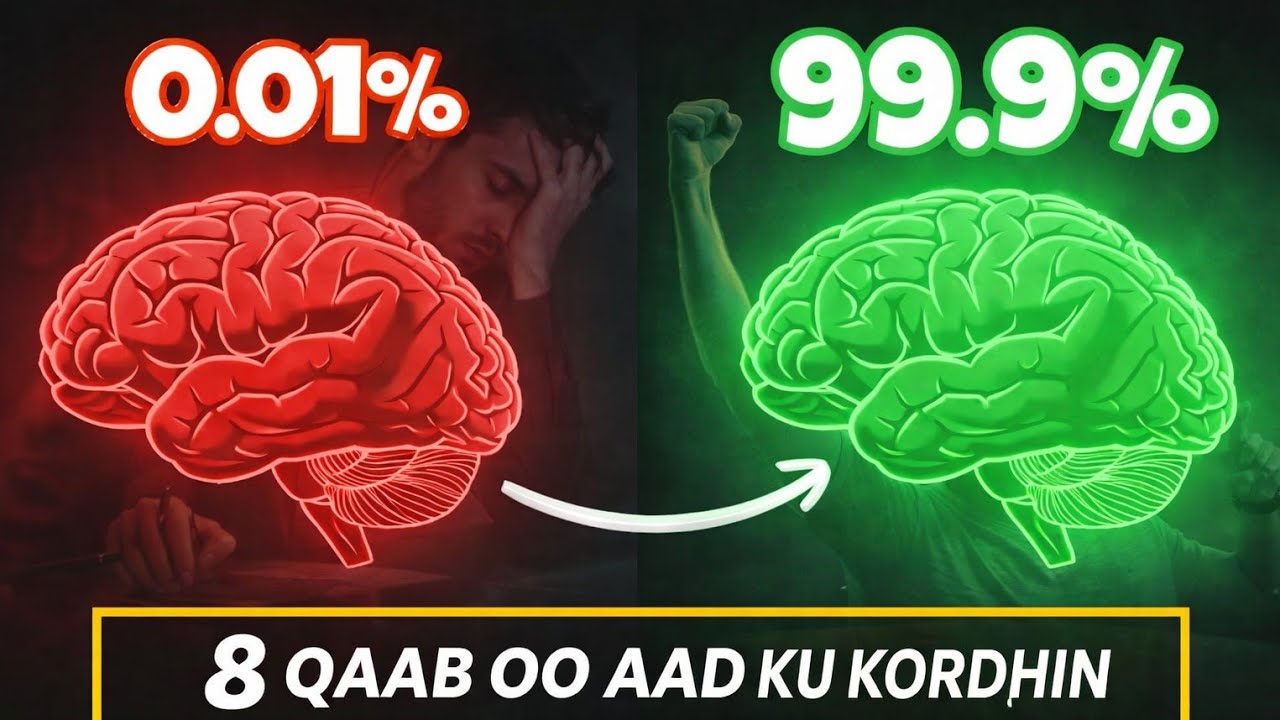 SIDEED U KORDHIN KARTAA XASUUSTA || 8 QAAB OOD KU KORDHIN KARTO XASUUSTAADA || XAL KA DHABTA