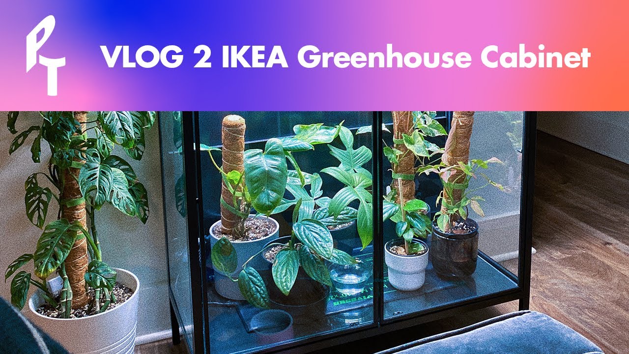 PlantTalk - Setting up my Rudsta IKEA Greenhouse Cabinet - Moving With Plants Vlog 2