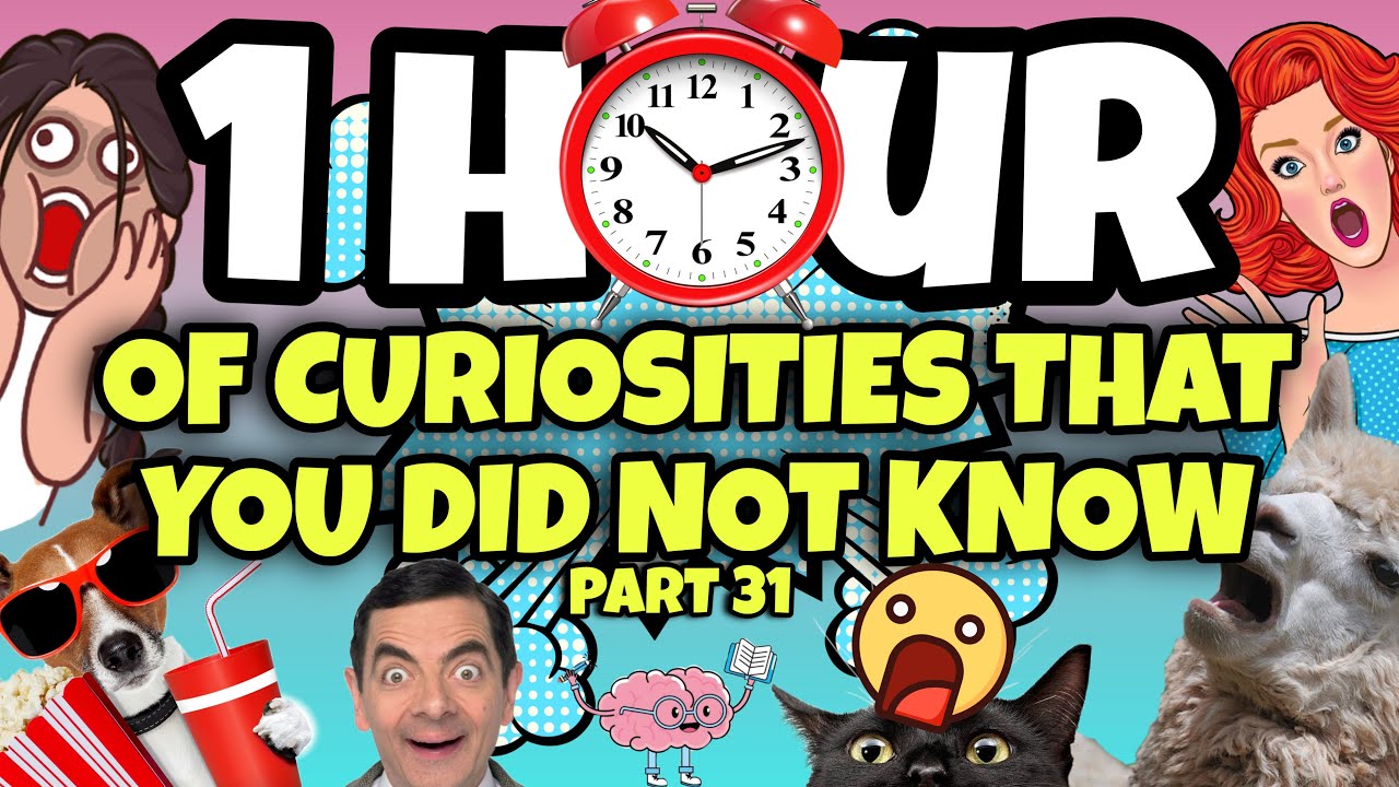1 HOUR OF CURIOSITIES AND THINGS YOU DIDN'T KNOW 🧠⏰ #31 