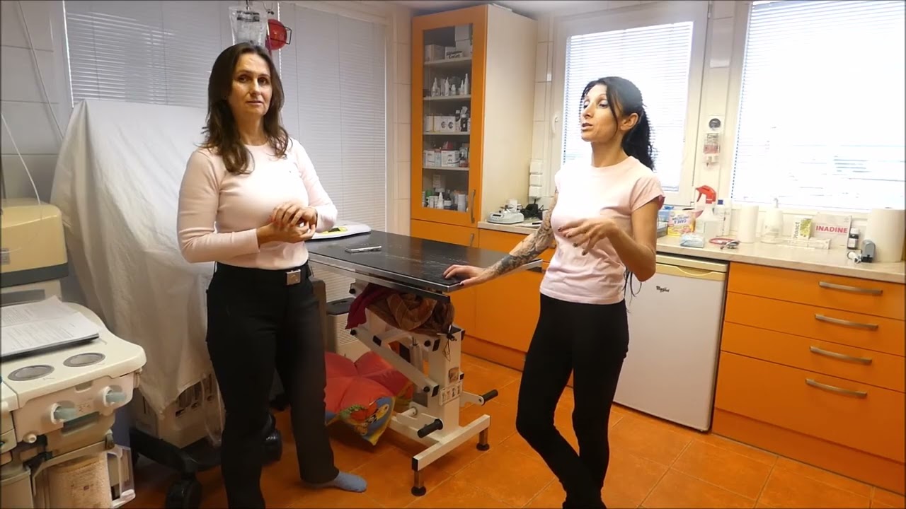 ❤️ ❤️ ❤️ Poslední sbohem milované Gedžitce ❤️ ❤️ ❤️ 3.3.2026