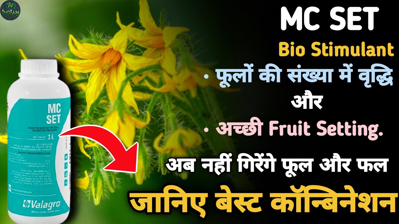 Valagro MC SET |Increase flowering  & Fruits Setting | Stop flowers dropping #valagro #Bio_stimulant
