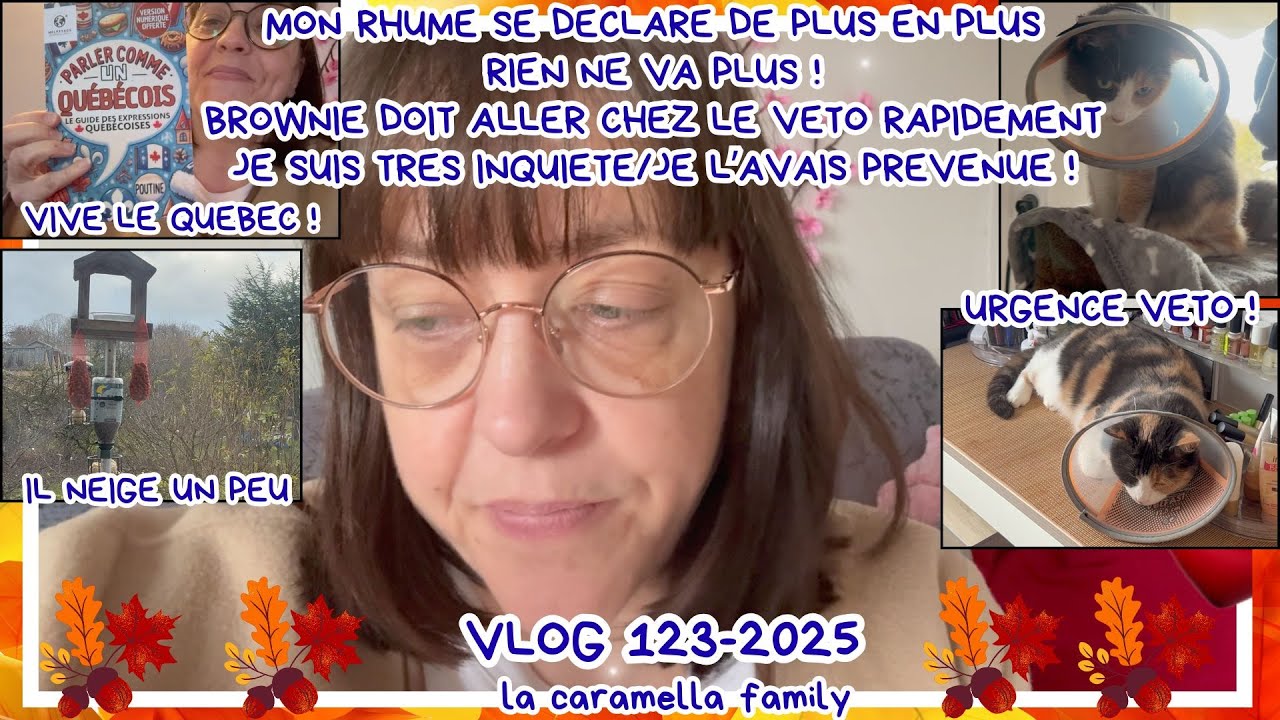 VLOG 123/2025/BROWNIE NE VA PAS BIEN DU TOUT/URGENCE VETO/JE L'AVAIS TELLEMENT PREVENUE/NEIGE FONDUE