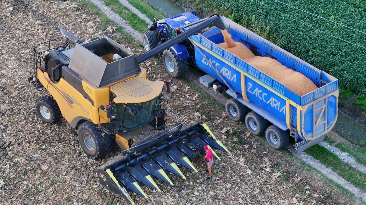 Trebbiatura mais con New Holland CR8.80 e T6 180 rimorchio Zaccaria