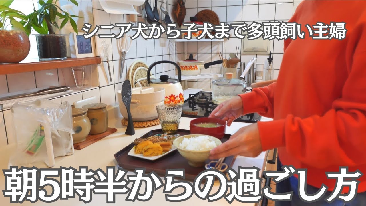 【50代主婦の暮らし】 5時半起きの過ごし方 / 無理せず、今を楽しむ暮らし / 犬のいる暮らし / 主婦vlog