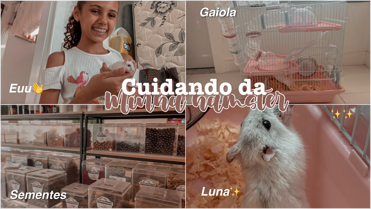 CUIDANDO DA MINHA HAMSTER |~gaiola, Luna, comida, semente✨🐹