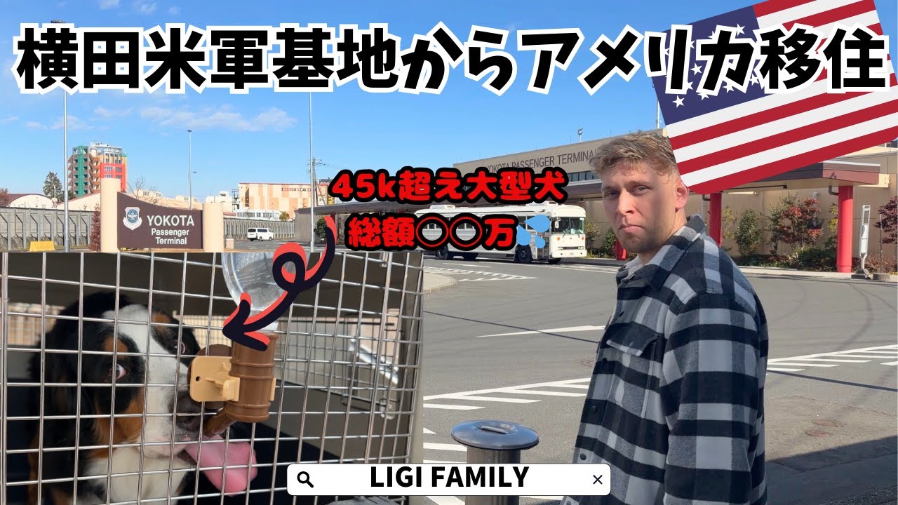 日本(横田基地)から超大型犬とド田舎アメリカ移住大変すぎた