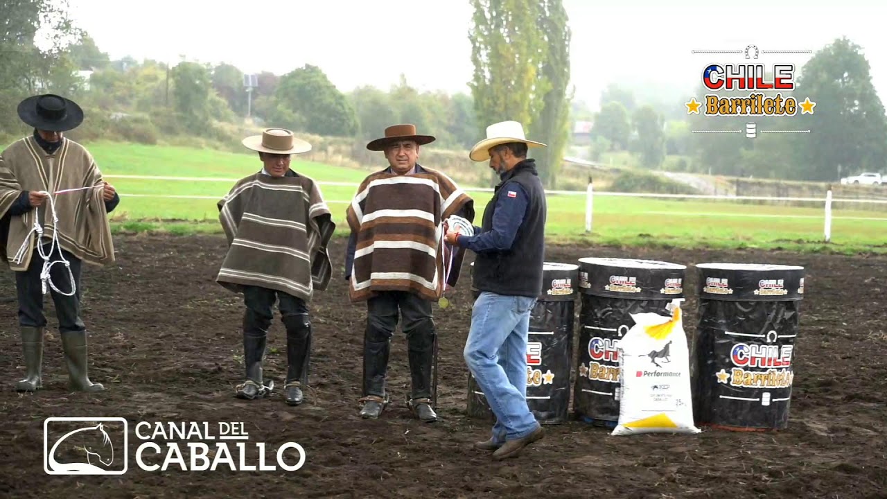 CHILE BARRILETES CLASIFICATORIA ZONA SUR