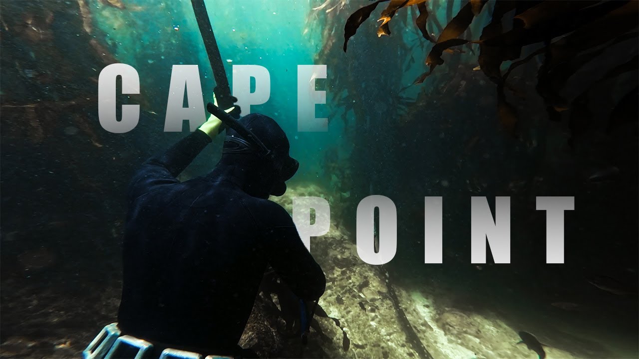 Freediving in South Africa’s Untouched Kelp Forests