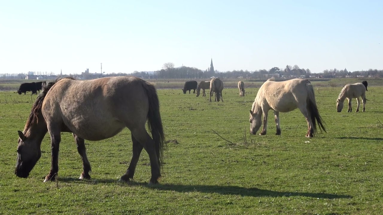 Wandeling van Herbricht naar Kanne