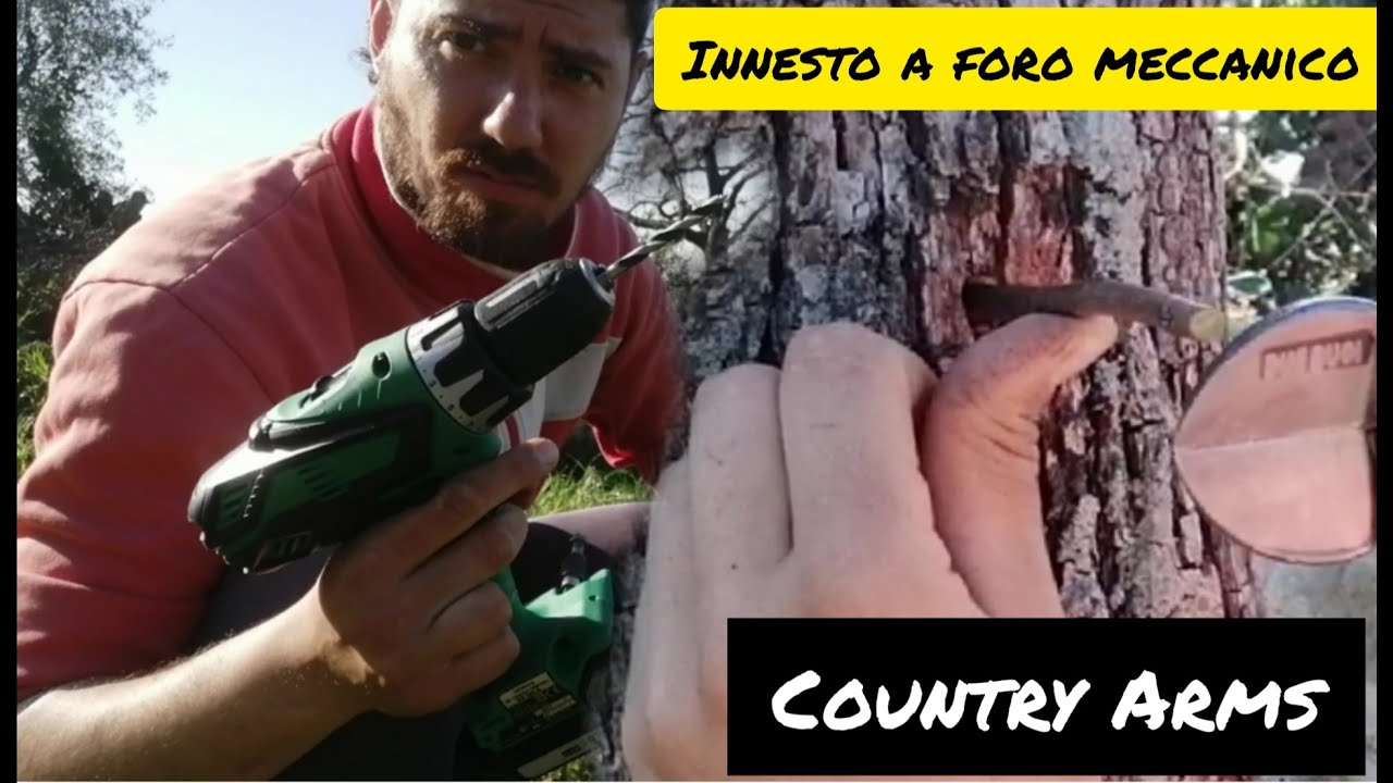 Innesto a foro meccanico: la guida completa.