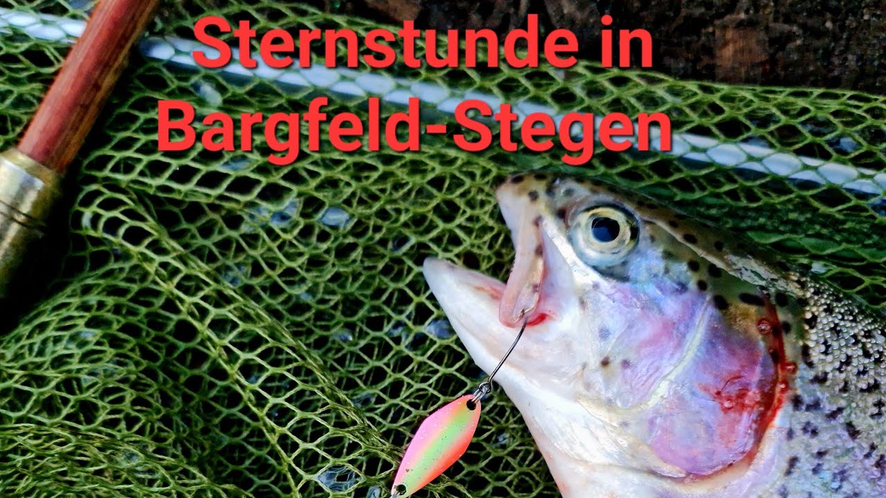 Forellenangeln mit Spoon am Angel- und Forellenteich Bargfeld-Stegen...! #trout