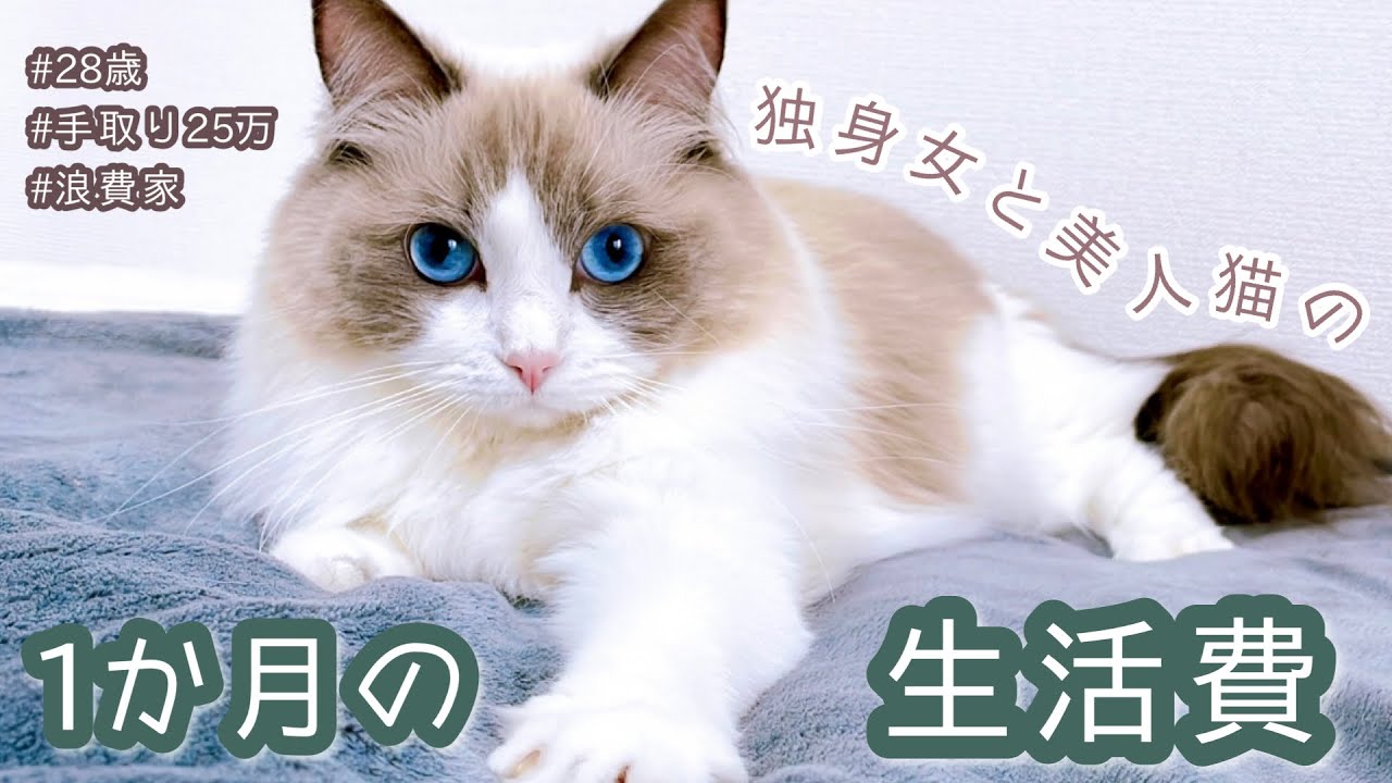【浪費家】独身女と美人猫の生活費｜一人暮らし｜家計簿