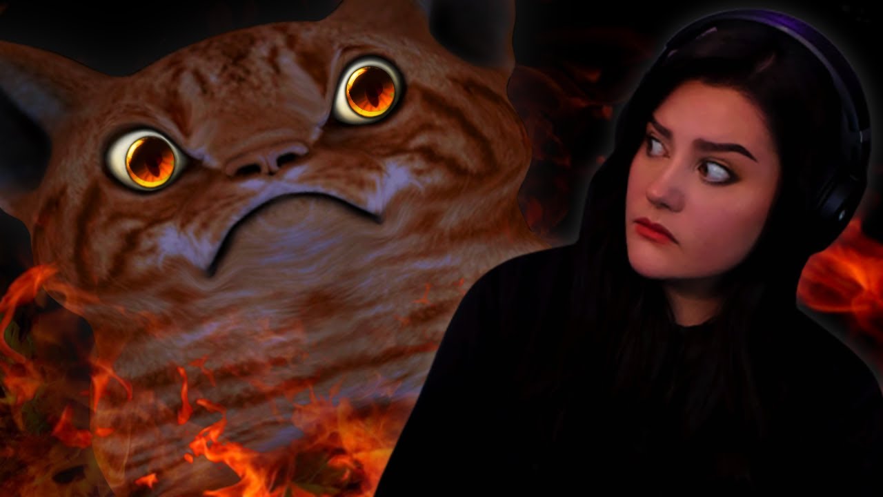 I found a really weird game about feeding your cat...
