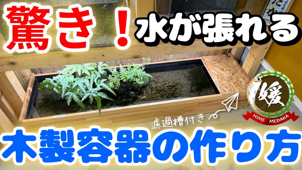 水が張れる！手作り木製容器の作り方【めだかのビオトープ】