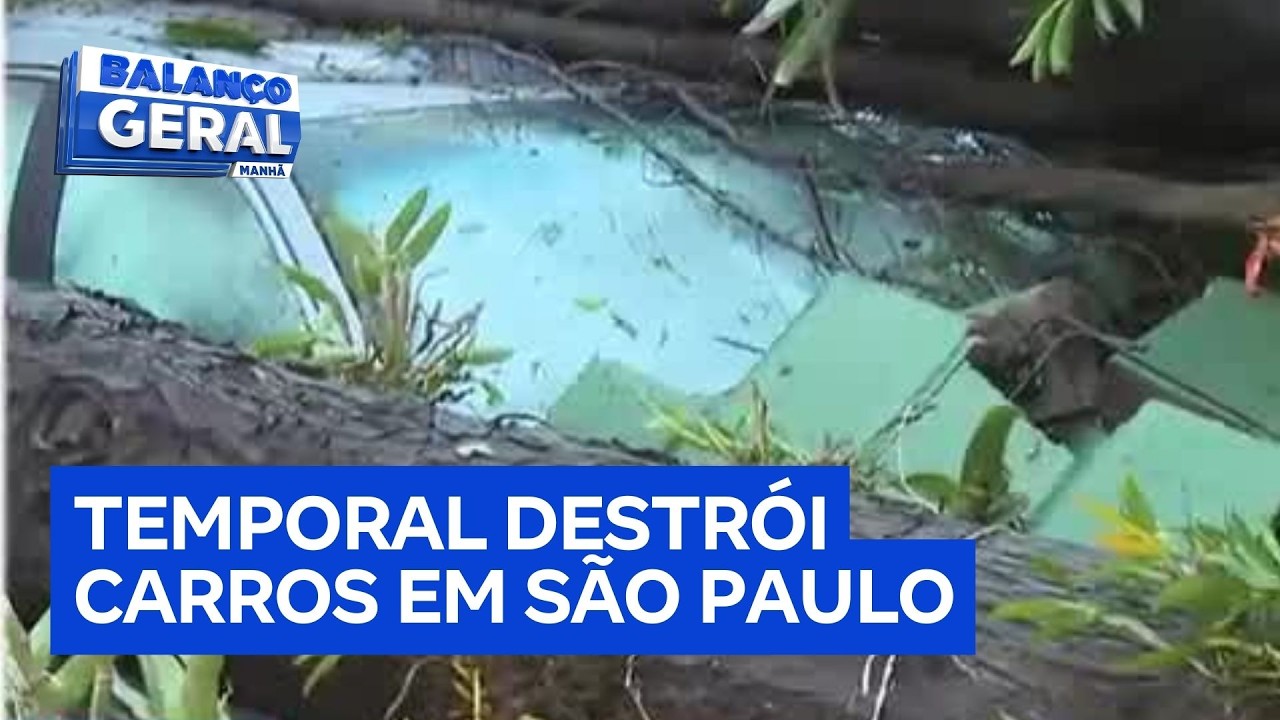 Temporal derruba árvore, destrói carros e deixa moradores sem energia na zona sul de São Paulo