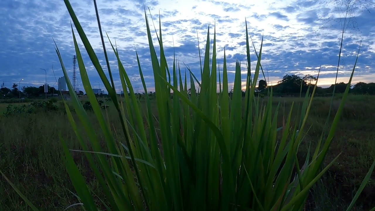 Free Stock Footage No Copyright | Free Video Sunrise HD | FootageStock  - Part 19