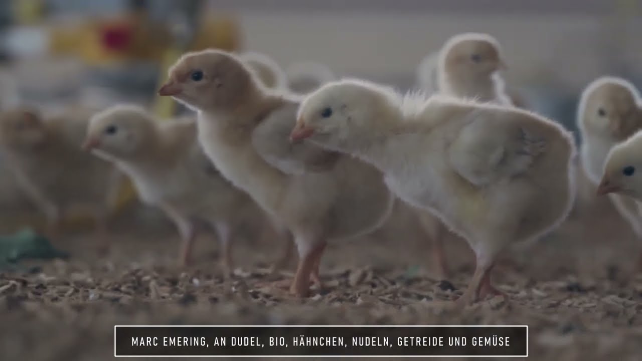 „Bio-Haff An Dudel“ - Marc Emering