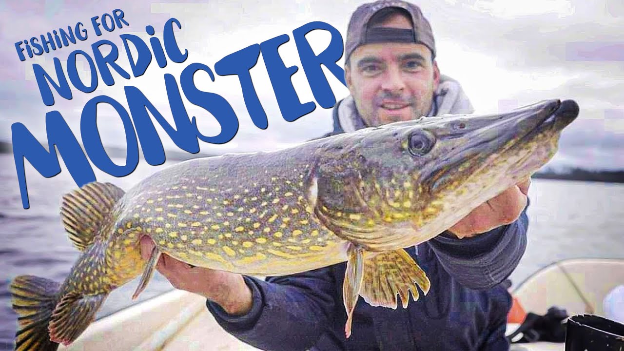 Jagd auf Riesenhechte – Nordische Monster aus dem Bolmen