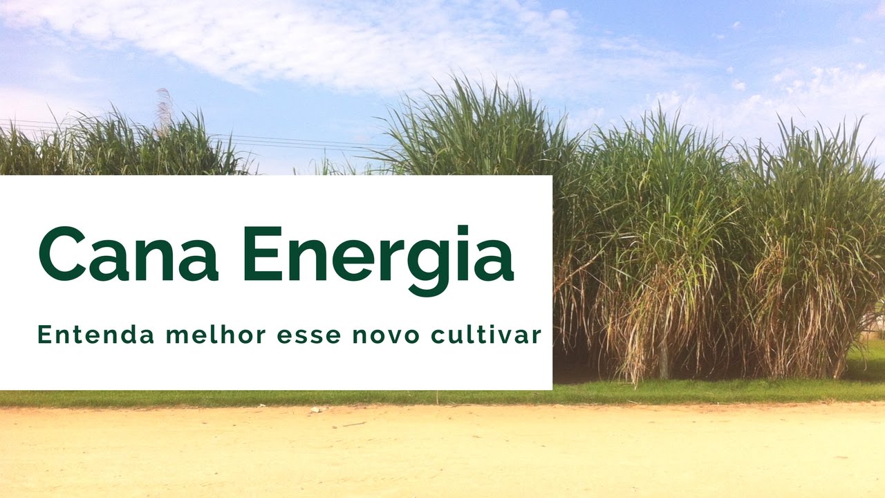 Cana Energia