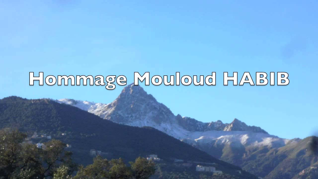 Mouloud Habib