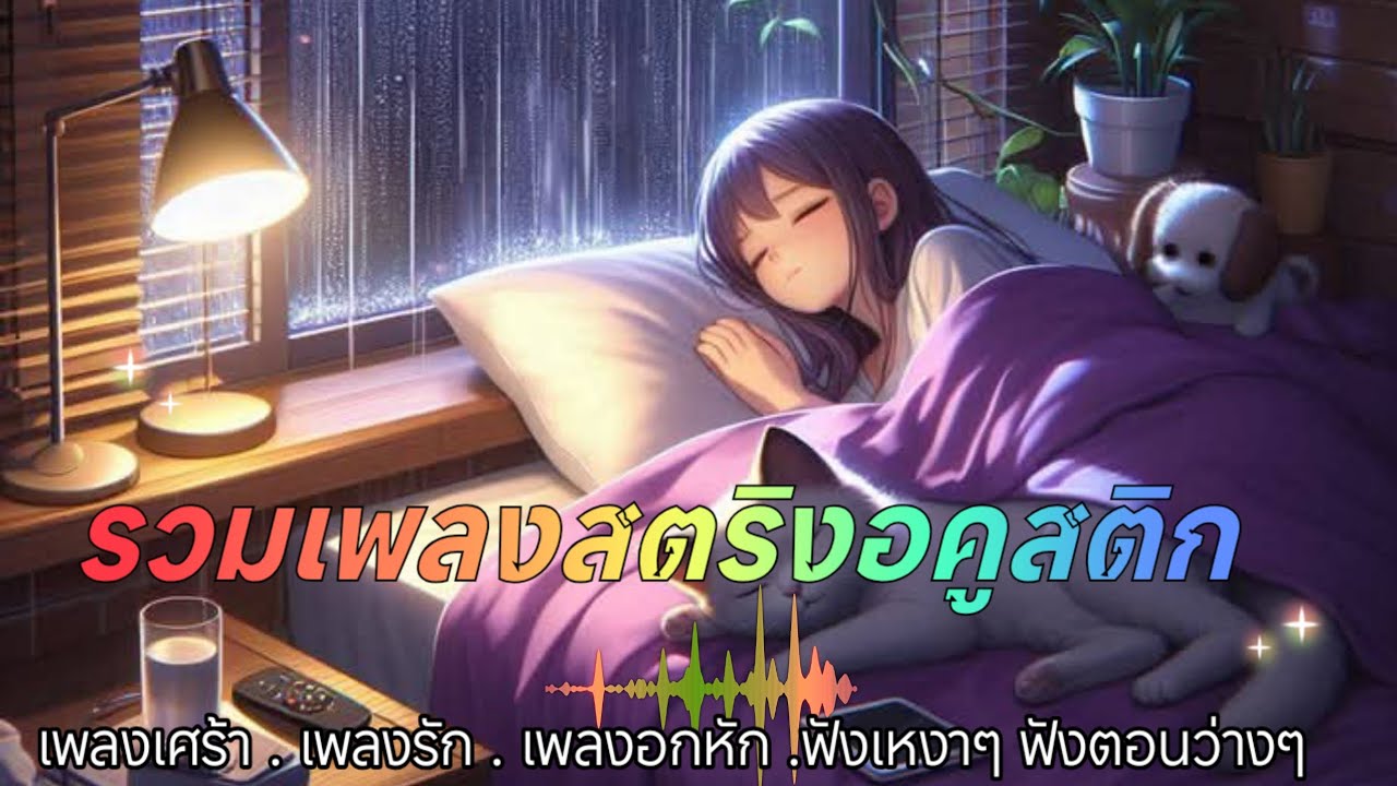 รวมเพลงสตริงอคูสติกโดนใจเพราะๆน่าฟัง ฟังเพลงสตริง เพลงใหม่ล่าสุด🐢