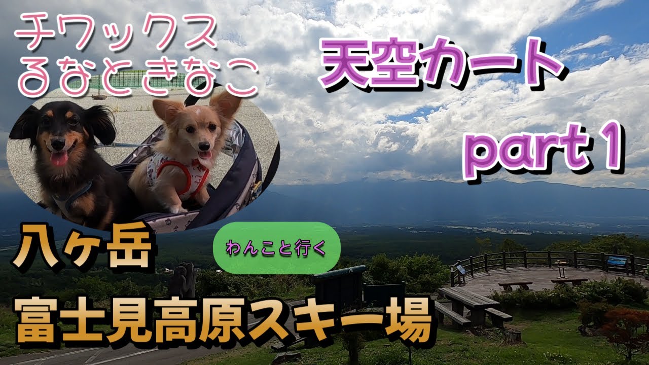 わんこと行く八ヶ岳富士見高原スキー場【チワックスるなときなこ】/天空カート#犬 #犬旅行#犬連れ