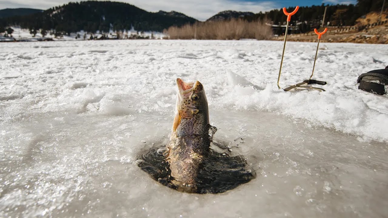 Some Late Morning Ice Fishing -Subnautica BZ