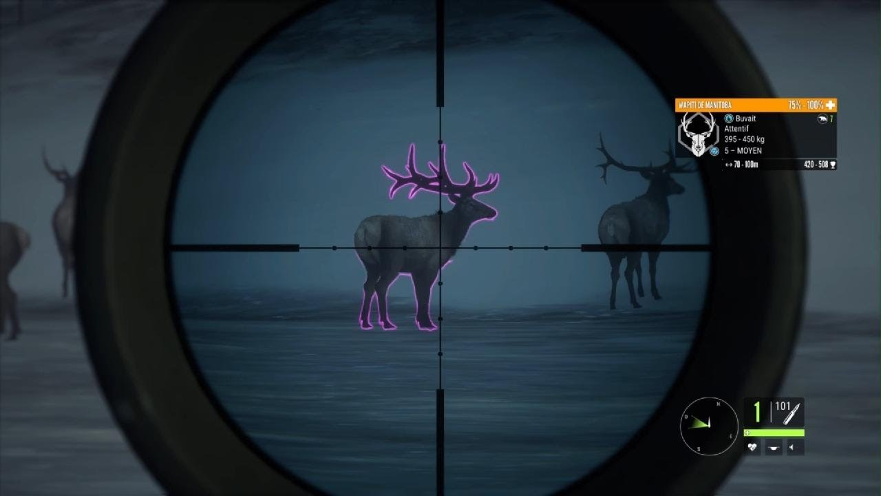 Chasse sur Askiy Ridge et 3 nouvelles armes ! - The Hunter call of the wild