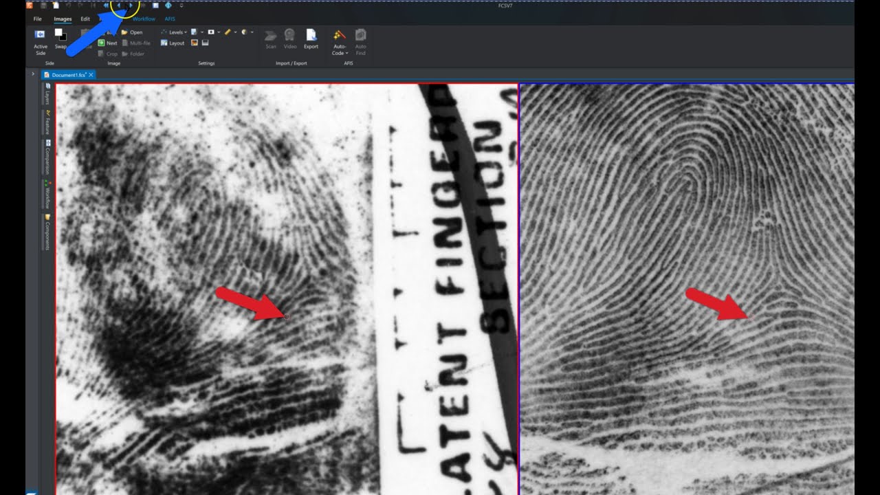 Autofind and Ghost Curser from Forensic Comparison Software