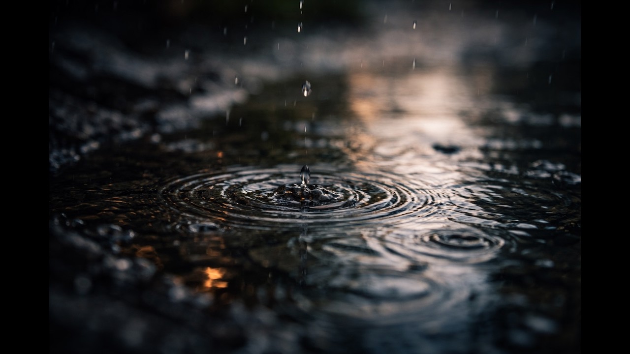 Rain Droplets in a Puddle 🌧️ | Rain Sounds for Relaxation & Sleep
