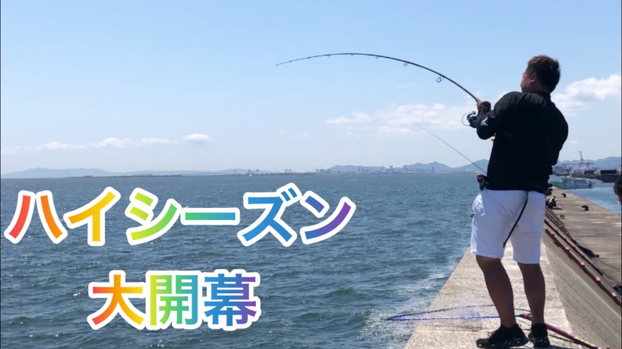 【武庫川一文字】やっと青物ハイシーズン開幕しました！！！　　　ショアジギング・泳がせ・堤防
