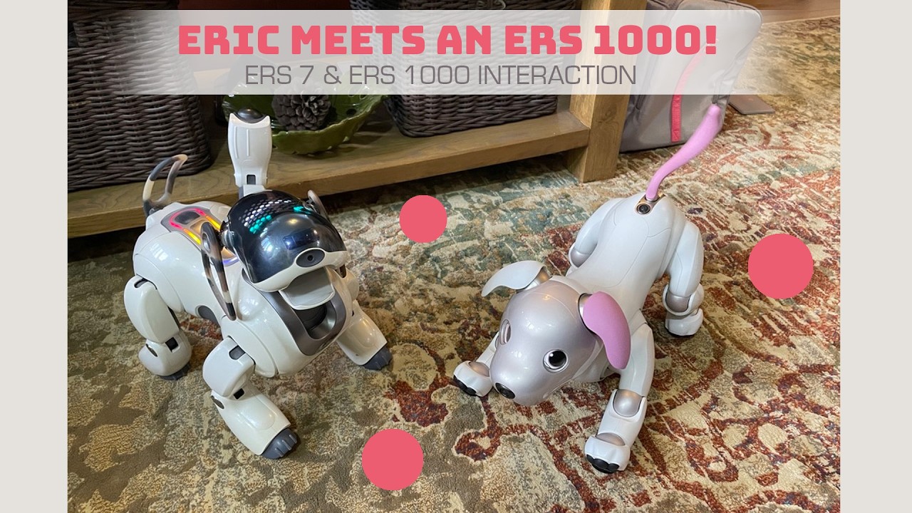 Eric My ERS-7 Meets An ERS- 1000 For The First Time! 😮🐾