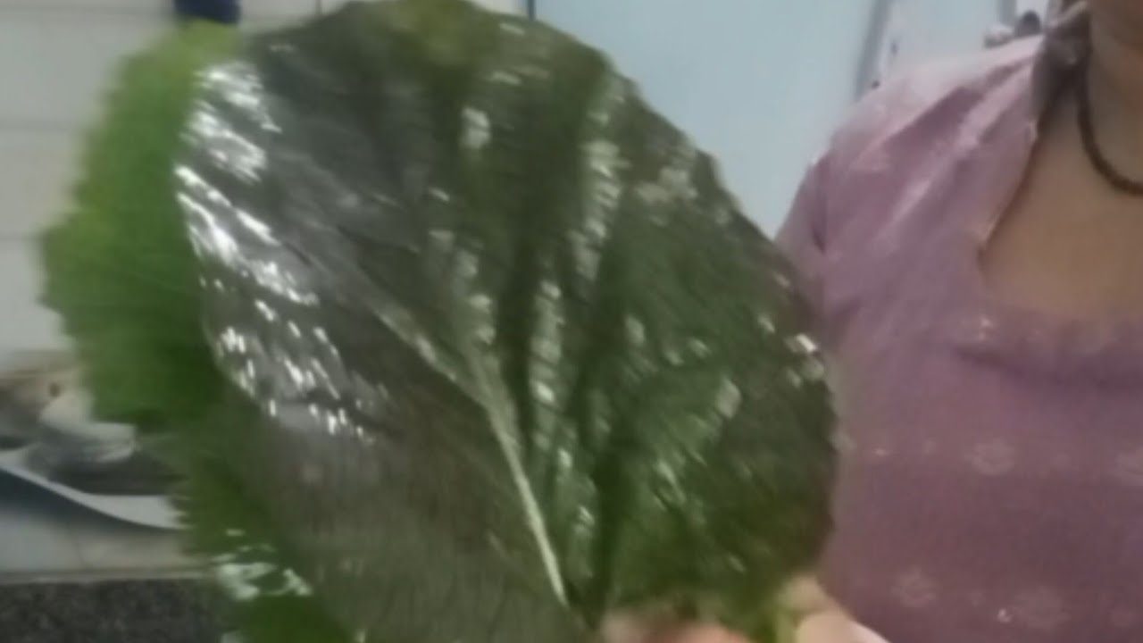 आज बनाया मैंने किचन गार्डन में  हरी सब्जी ll #pahadi #bhuli #ko #khaan #paan #