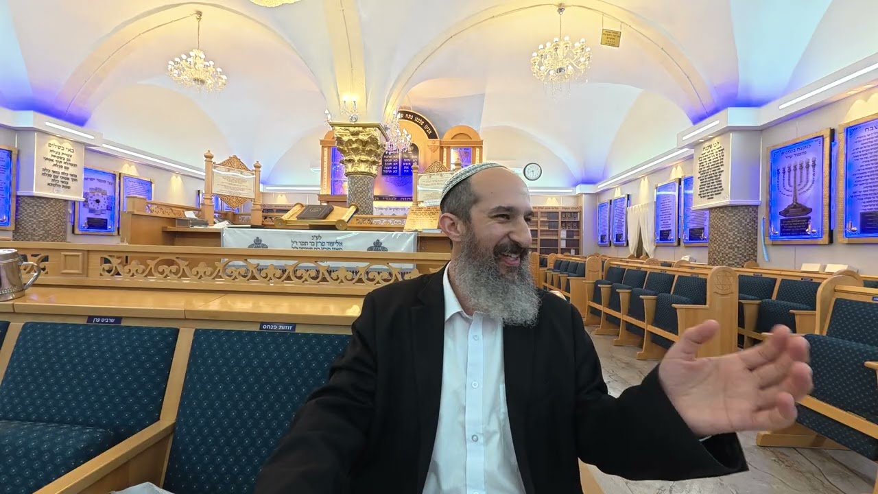 11 תנ