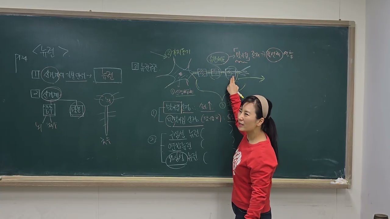 26년생물) 뉴런과 자극전도(1)