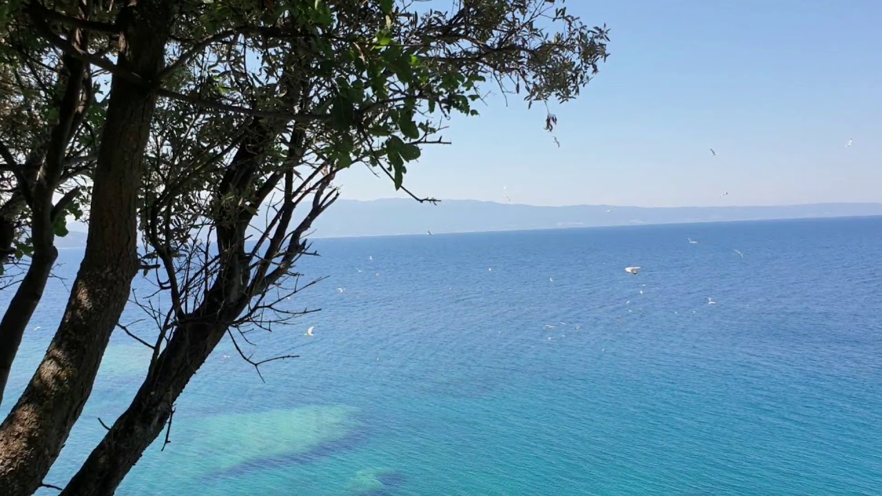 Καυκανας  -   το Νησί των Γλαρων