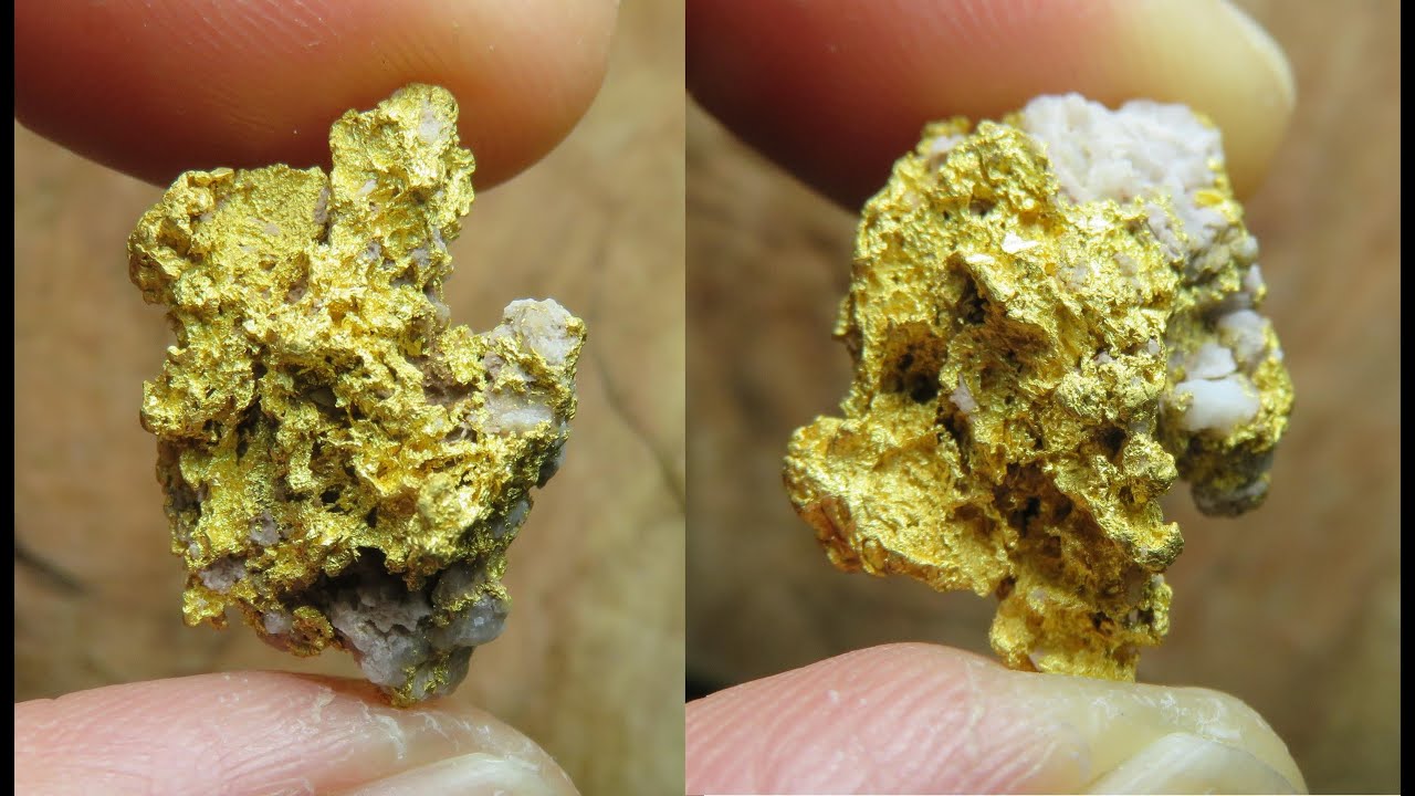 Hunting For More Reef Gold